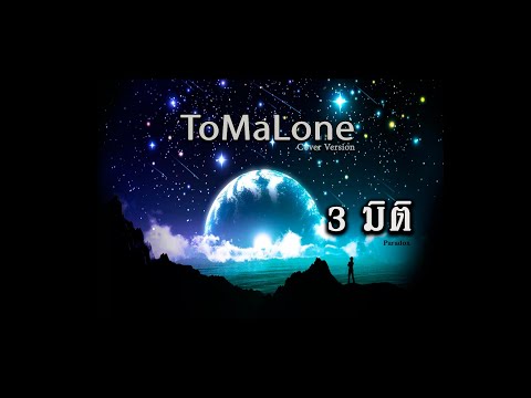 3 มิติ - Paradox Cover ToMaLone