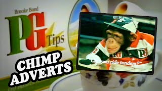Those PG Tips Chimp Adverts - Controversial or Classic?
