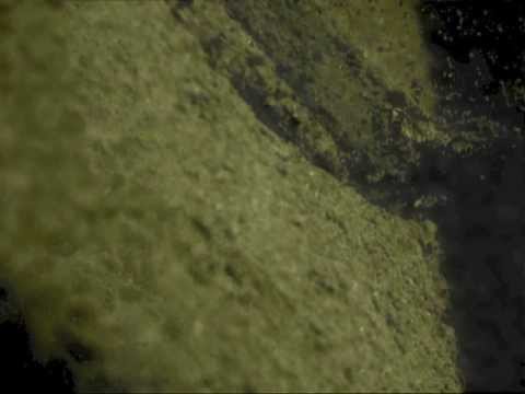 cinema perdu - urban photography