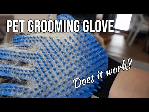 Pet Grooming Glove review | Closer Look