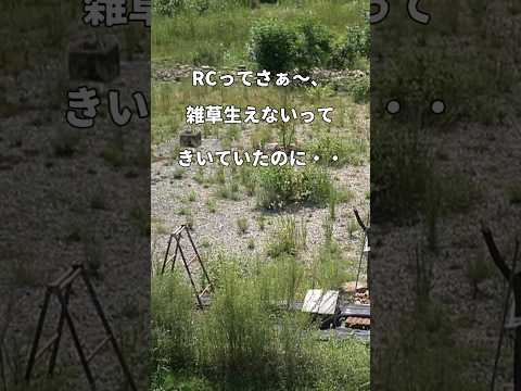 砂利の中の雑草？それらを削除し、再発を防ぐ方法は次のとおりです。  庭園