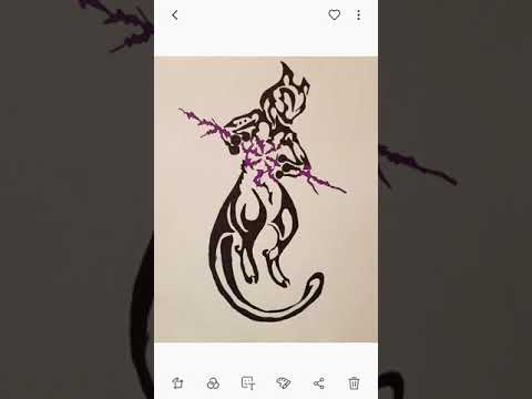 End of 2019 Update! Where Have i Been?!