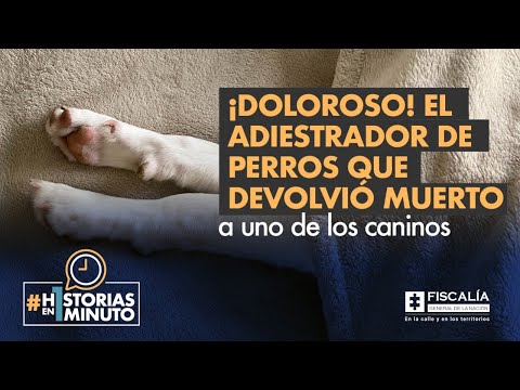 ¡Doloroso! El adiestrador de perros que devolvió muerto a uno de los caninos