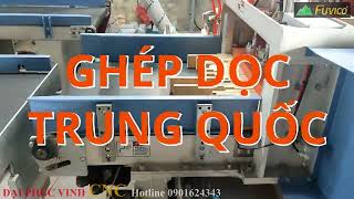 Chuyền ghép dọc tự động cho ván ghép thanh Woodmaster WM-IAT620