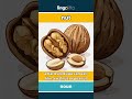 nut (noun) - definition and usage in English