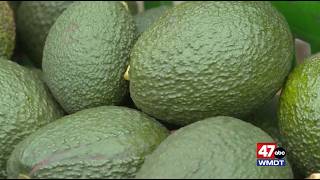 MD Rolls Out New EBT Cards