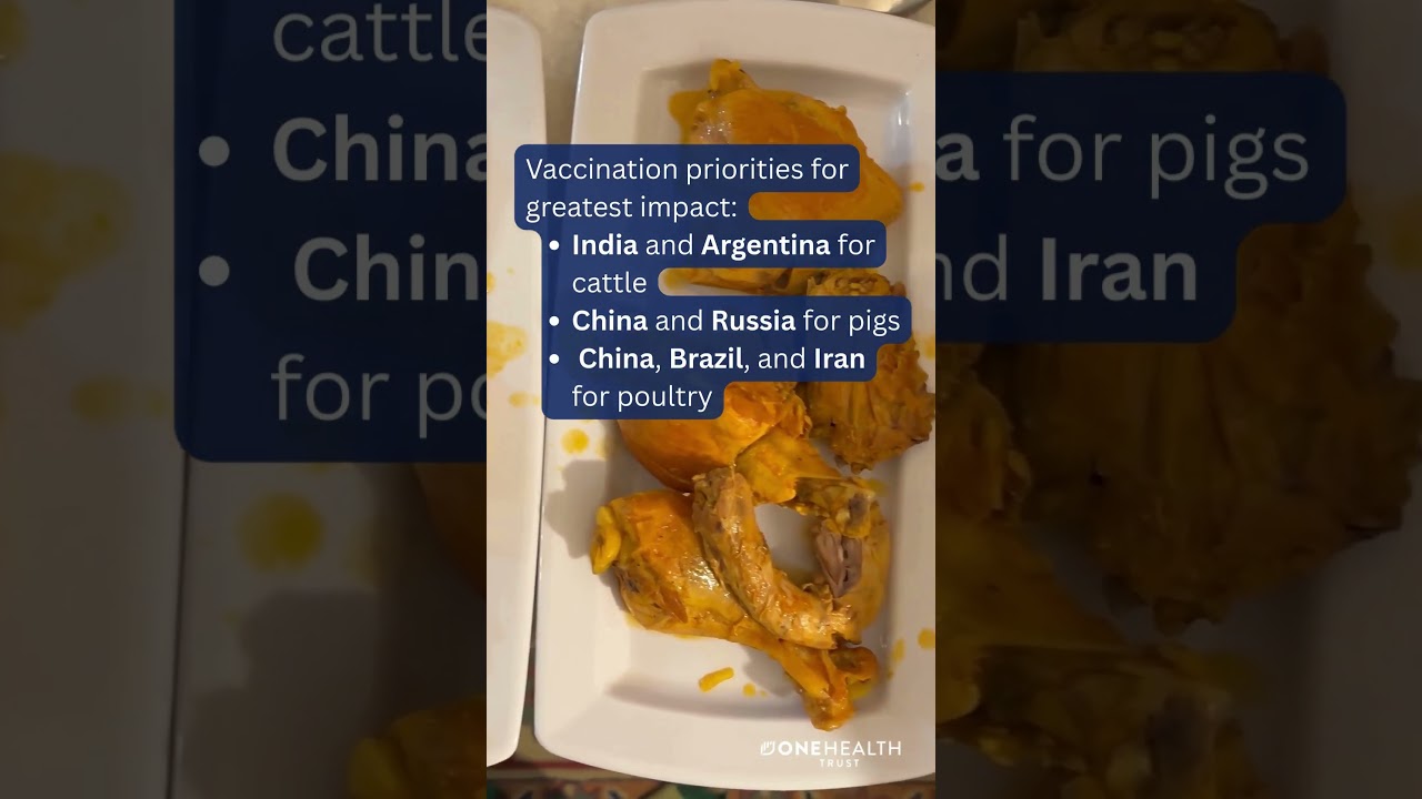 An OHT global study reveals low vaccination coverage in food animals for high risk diseases