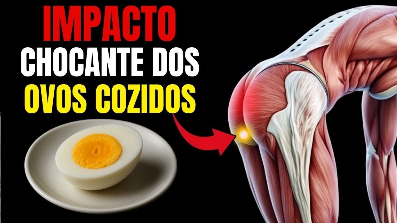 What happens to your body when you eat 2 eggs a day?