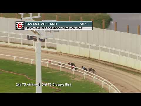 2021 DORANDO MARATHON - HEAT 1 - T6 SAVANA VOLCANO