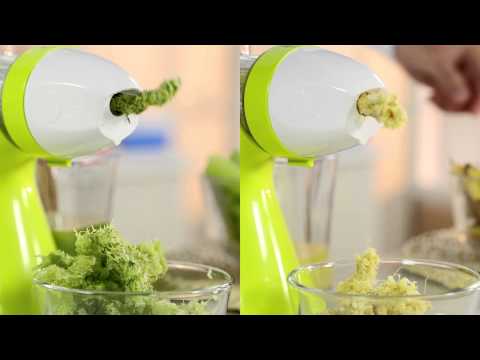 giocoso 2 in 1 juicer and ice cream maker