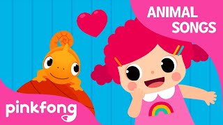 My Special Pets | Animal Songs | Learn Animals | Pinkfong Animal Songs for Children