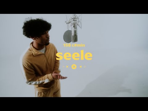 Jazeek x Jamin x Monet192 Type Beat - "Seele" (RnB, Guitar Summer Vibes)