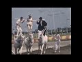 Circus And Acrobatics In The 1940s Home Movie Film