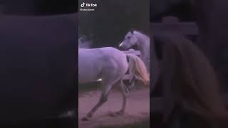 Download lagu Unicornios aesthetic ❤ mp3