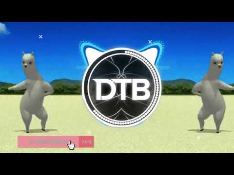 MI PAN SU SU SUM (VGR 2021 EDM Remix) [Tik Tok Song]