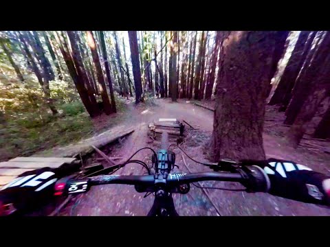 Sur Ron X vs Big mountain bike jumps