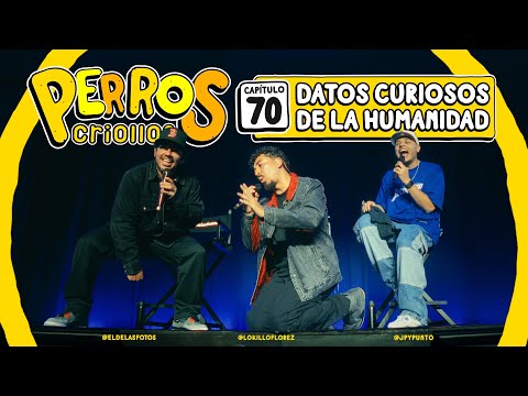 PERROS CRIOLLOS - DATOS CURIOSOS DE LA HUMANIDAD, CAP. 70