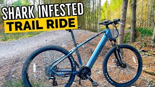Entry Level E-bikes Dope or Nope?