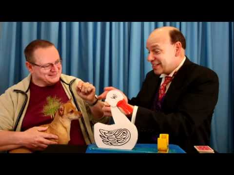 Card Duck Selects the Correct Card Every Time