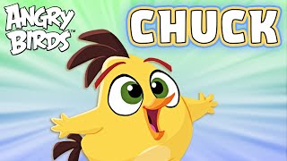 Angry Birds | Spend The Day With Chuck! 💨