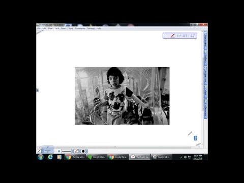 BI233: Immunity 3 and Respiration