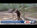 Community calls for transparency after dog is electrocuted near Portsmouth High