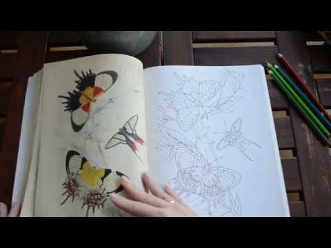 The Beauties of Nature Coloring Book - flip through