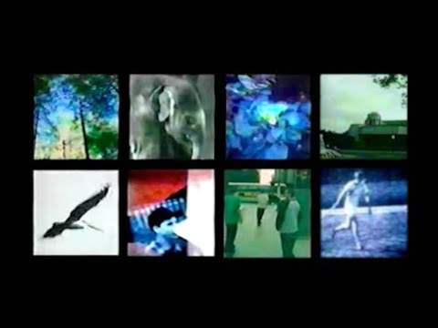 [free] skele, guardin, midwest emo type beat - wordsrehearsed (prod. irby +  @prodryankelly)