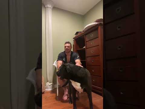 Apigenin for Mood & More