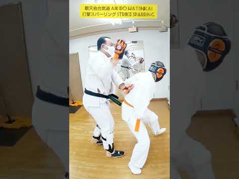 Strike sparring of Aikido “Hatenkai”.合気道覇天会　打撃スパーリング。　#Shorts