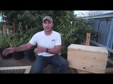 Swarm to Topbar Hive: Catching Bees part 3