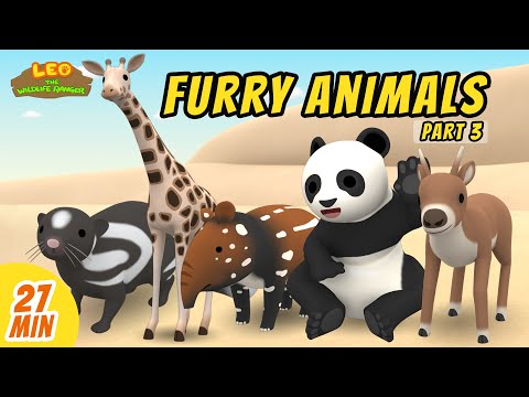 Furry Animals Minisode Compilation (Part 3/4) - Leo the Wildlife Ranger | Animation | For Kids