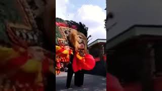 Download lagu Reog Ponorogo : Singo Aji Kusumo. Surakarta#shorts mp3