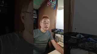 一歩テック20がV字回復してる！これは何かあったぞ
