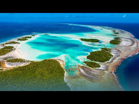 Paradis d'Atoll : Takaroa, vies de lagon et de passion – Documentaire Polynésie Française - GD
