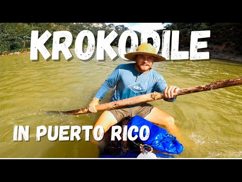 Ep. 115 | Build a raft in the jungle! Explore a river in Puerto Rico!