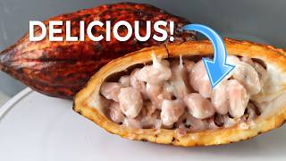 What Does Cacao Fruit Taste Like Before Becoming Chocolate