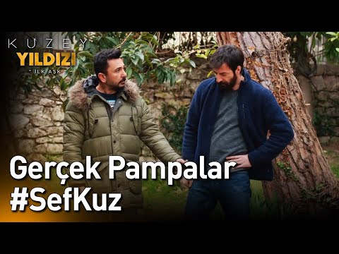 Kuzey Yıldızı İlk Aşk | Gerçek Pampalar #SefKuz