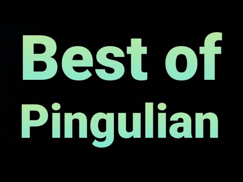 Best of Pingulian / 200 Abonnenten Special