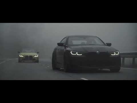 🥀🥀🥀Dan Korshunov, Violetta Vencer - Фатальная ошибка (TIK TOK)🥀🥀🥀