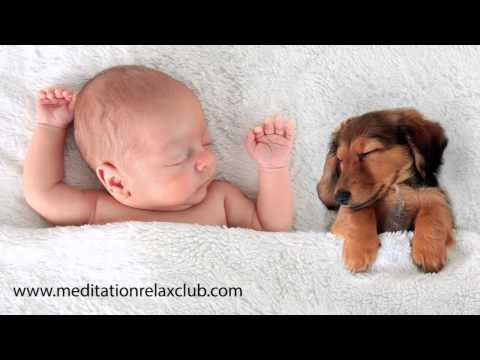 White Noise for Newborn Babies - Soothing Sounds for Baby to Aid Sleep and Fall Asleep