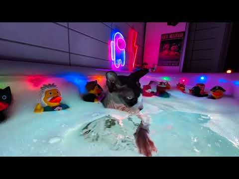 The bubble master shows his skills.