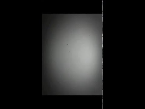 La sorcière ( Mr. Fly & L'équivoque)