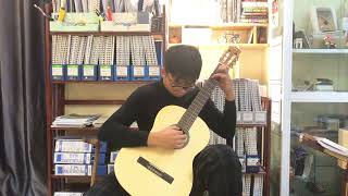 Matteo Carcassi : Allegretto