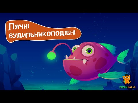 Дива природи. Явища навколо нас. Вудильнокоподібні