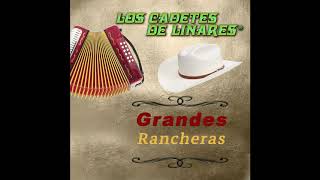 Flor de Mis Primeros Años - Los Cadetes de Linares