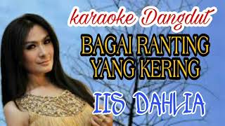 Download lagu BAGAI RANTING YANG KERING Karaoke (Iis Dahlia) mp3 Download lagu BAGAI RANTING YANG KERING Karaoke (Iis Dahlia) mp3