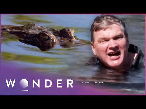 Ray Mears Ventures Into Crocodile Territory | Australian Wilderness S1 EP3