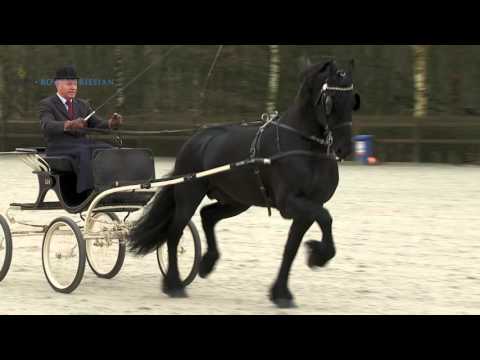 Erryt 488 Centraal Ondezoek 2015