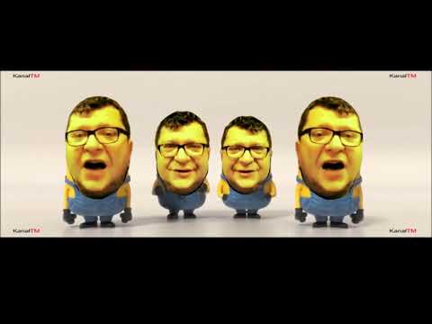 Zbigniew Stonoga ft. Minionki REMIX